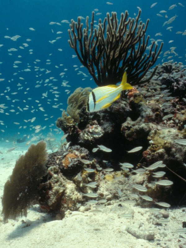 Top Ten Activities to do at Biscayne National&nbsp;Park